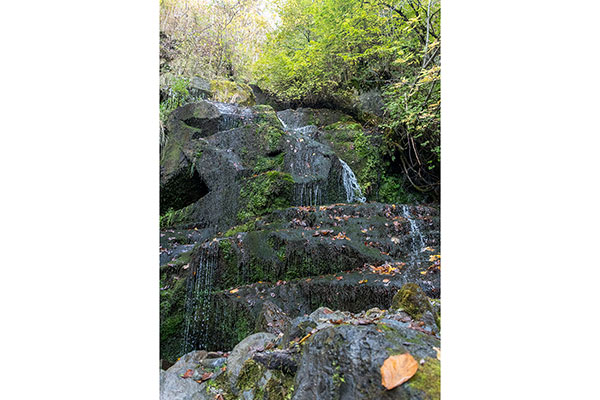 Алекови водопади, Витоша