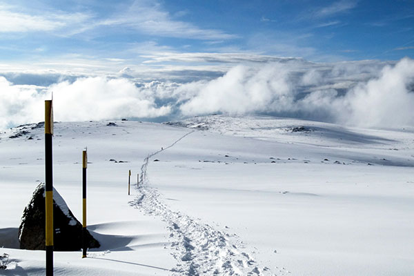 Снежна пътека над облаците на Витоша