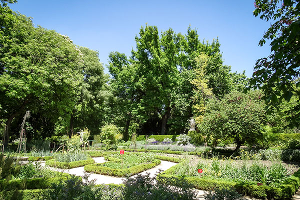 Кралска ботаническа градина, Мадрид, Испания