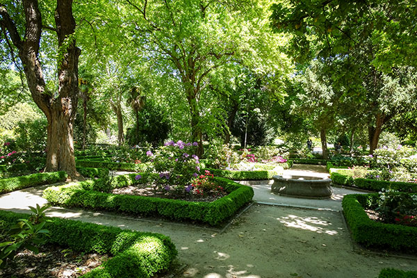 Кралска ботаническа градина, Мадрид, Испания