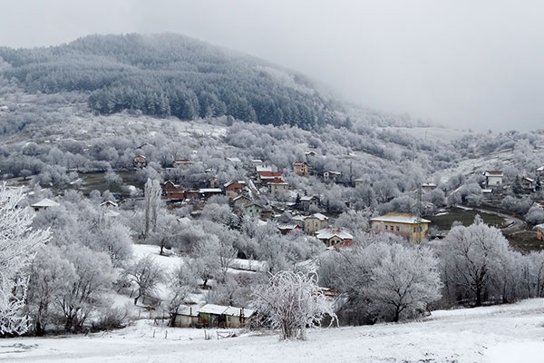 Село Лакатник