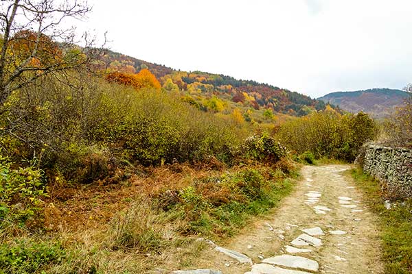 Есен над Ковачевица