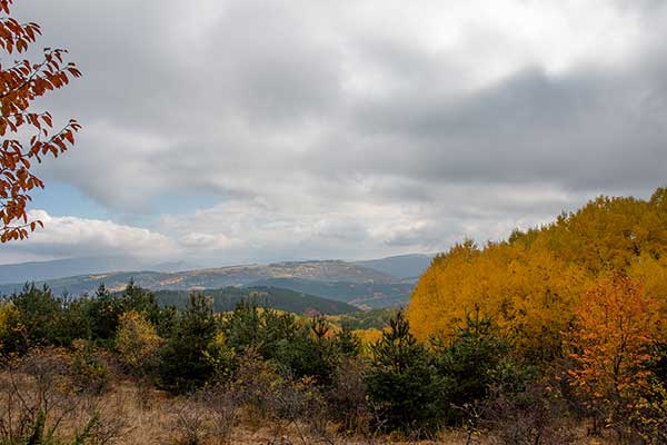 Екопътека Бистрица - Железница - панорамна гледка