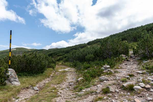 Подсичане на Кайзеровия път към връх Мечит