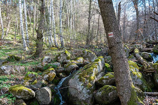 Пътека на здравето - село Кладница - хижа Селимица