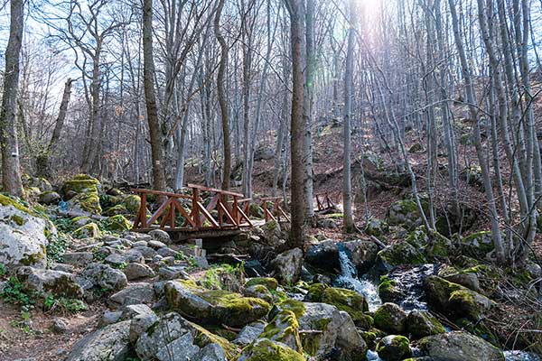 Пътека на здравето - село Кладница - хижа Селимица